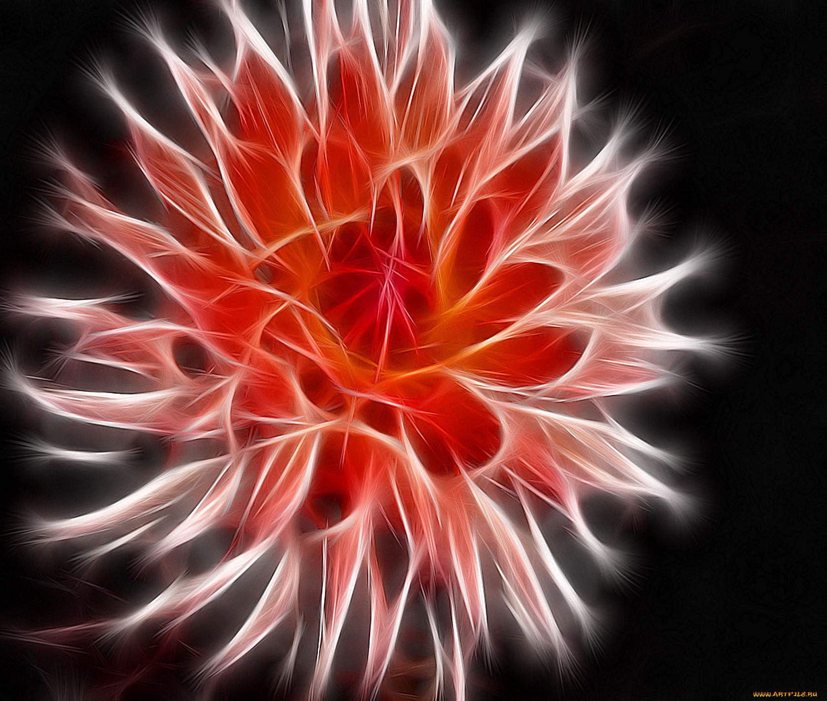 3, , flowers, , , , 